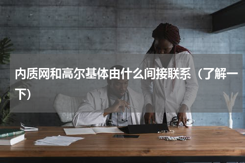 内质网和高尔基体由什么间接联系（了解一下）