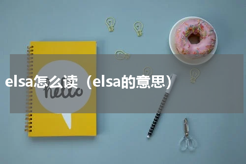 elsa怎么读（elsa的意思）