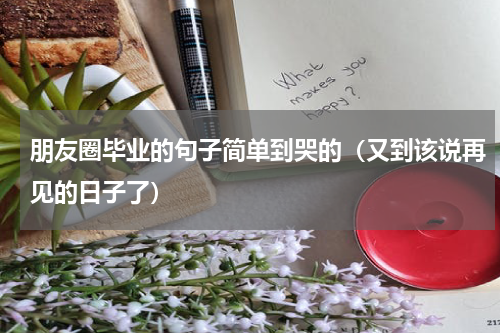 朋友圈毕业的句子简单到哭的（又到该说再见的日子了）