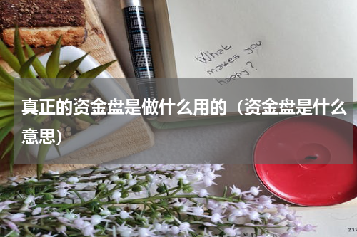 真正的资金盘是做什么用的（资金盘是什么意思）