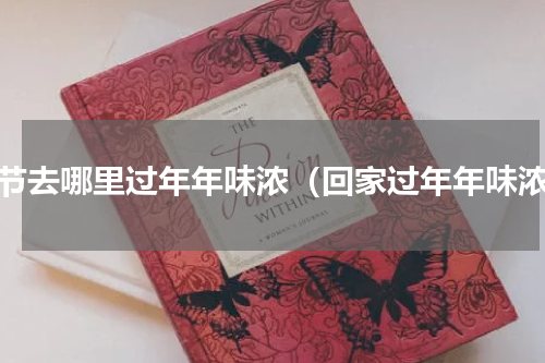 春节去哪里过年年味浓（回家过年年味浓）