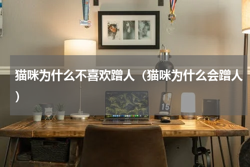 猫咪为什么不喜欢蹭人（猫咪为什么会蹭人）