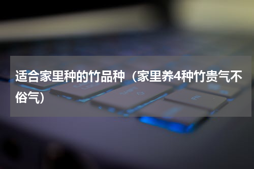 适合家里种的竹品种（家里养4种竹贵气不俗气）