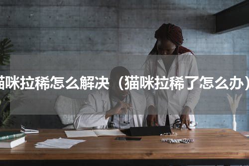 猫咪拉稀怎么解决（猫咪拉稀了怎么办）