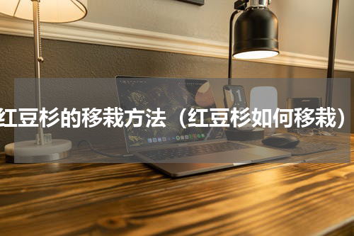 红豆杉的移栽方法（红豆杉如何移栽）