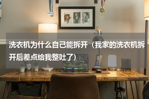 洗衣机为什么自己能拆开（我家的洗衣机拆开后差点给我整吐了）