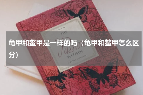 龟甲和鳖甲是一样的吗（龟甲和鳖甲怎么区分）