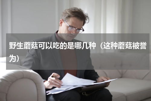 野生蘑菇可以吃的是哪几种（这种蘑菇被誉为）