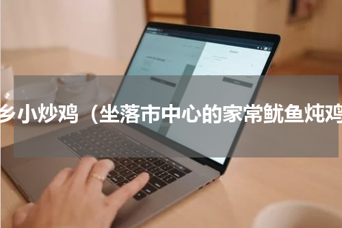 家乡小炒鸡（坐落市中心的家常鱿鱼炖鸡）