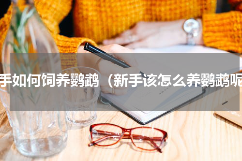 新手如何饲养鹦鹉（新手该怎么养鹦鹉呢）
