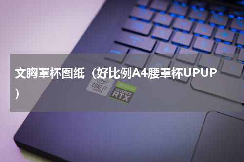 文胸罩杯图纸（好比例A4腰罩杯UPUP）