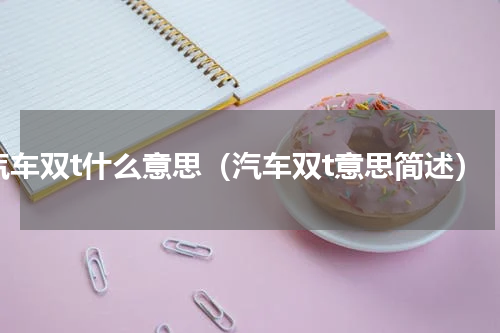 汽车双t什么意思（汽车双t意思简述）