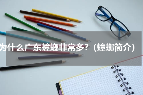 为什么广东蟑螂非常多?（蟑螂简介）