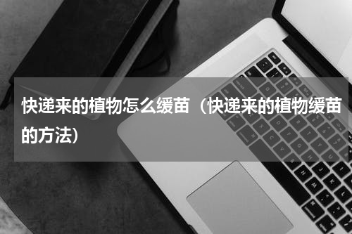 快递来的植物怎么缓苗（快递来的植物缓苗的方法）