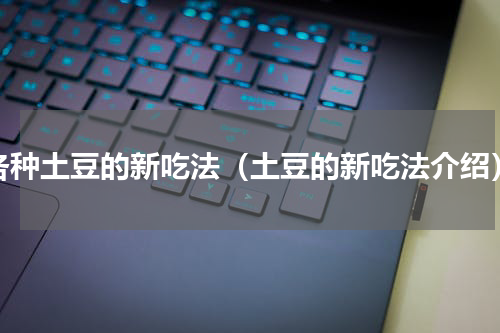 各种土豆的新吃法（土豆的新吃法介绍）