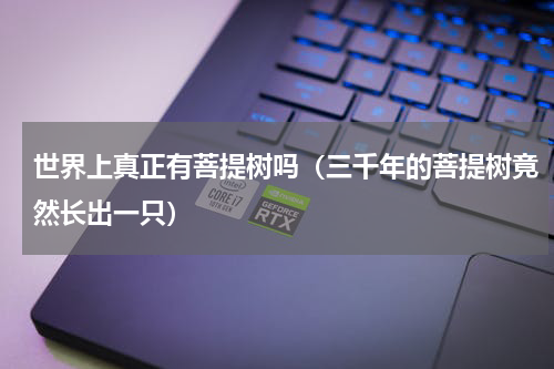 世界上真正有菩提树吗（三千年的菩提树竟然长出一只）