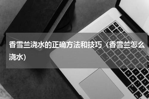 香雪兰浇水的正确方法和技巧（香雪兰怎么浇水）