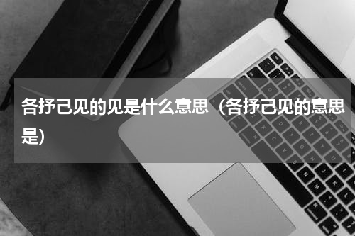 各抒己见的见是什么意思（各抒己见的意思是）