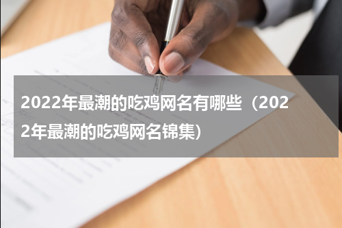 2022年最潮的吃鸡网名有哪些（2022年最潮的吃鸡网名锦集）