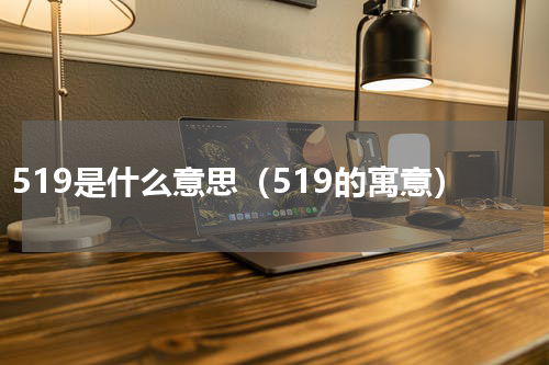 519是什么意思（519的寓意）