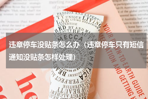 违章停车没贴条怎么办（违章停车只有短信通知没贴条怎样处理）