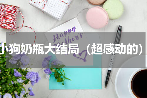 小狗奶瓶大结局（超感动的）
