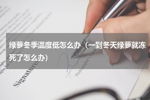 绿萝冬季温度低怎么办（一到冬天绿萝就冻死了怎么办）