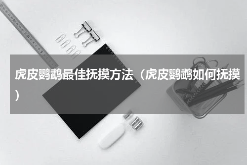 虎皮鹦鹉最佳抚摸方法（虎皮鹦鹉如何抚摸）
