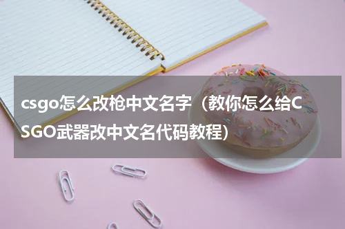 csgo怎么改枪中文名字（教你怎么给CSGO武器改中文名代码教程）
