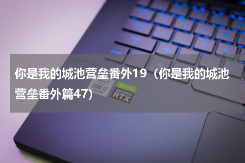 你是我的城池营垒番外19（你是我的城池营垒番外篇47）