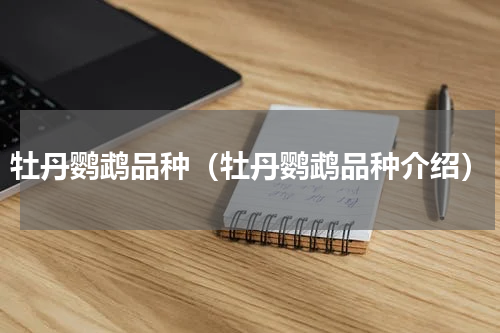 牡丹鹦鹉品种（牡丹鹦鹉品种介绍）