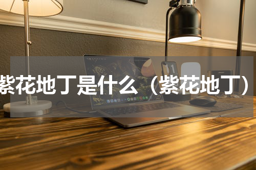 紫花地丁是什么（紫花地丁）