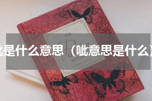 呲是什么意思（呲意思是什么）
