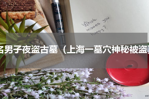 8名男子夜盗古墓（上海一墓穴神秘被盗）