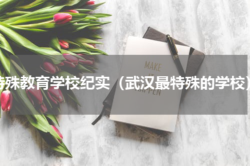 特殊教育学校纪实（武汉最特殊的学校）