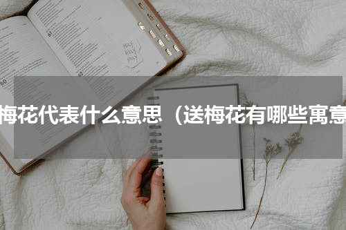 送梅花代表什么意思（送梅花有哪些寓意）