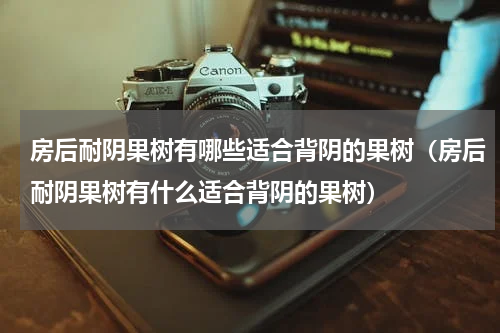 房后耐阴果树有哪些适合背阴的果树（房后耐阴果树有什么适合背阴的果树）