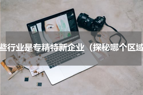 哪些行业是专精特新企业（探秘哪个区域）