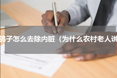杀鸽子怎么去除内脏（为什么农村老人说）