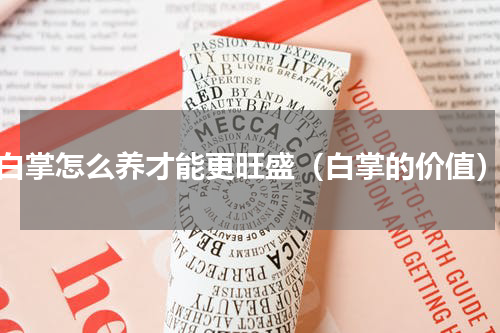 白掌怎么养才能更旺盛（白掌的价值）