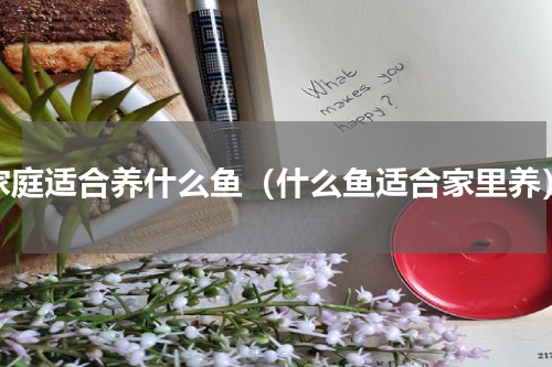 家庭适合养什么鱼（什么鱼适合家里养）