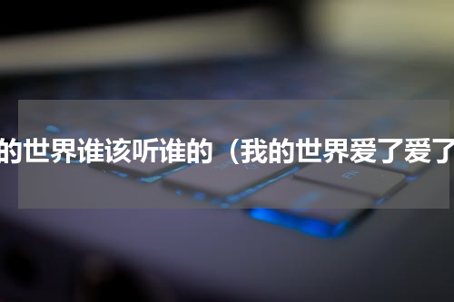 我的世界谁该听谁的（我的世界爱了爱了）