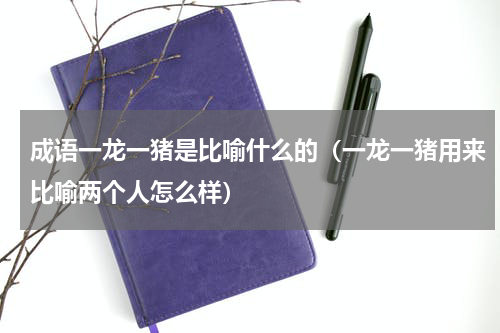 成语一龙一猪是比喻什么的（一龙一猪用来比喻两个人怎么样）