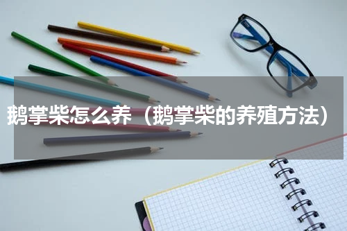 鹅掌柴怎么养（鹅掌柴的养殖方法）