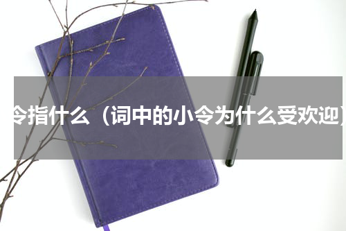 小令指什么（词中的小令为什么受欢迎）