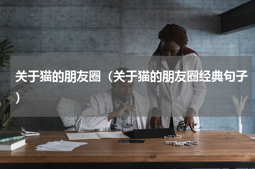 关于猫的朋友圈（关于猫的朋友圈经典句子）