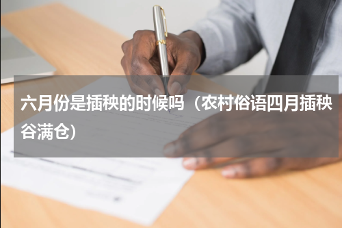 六月份是插秧的时候吗（农村俗语四月插秧谷满仓）