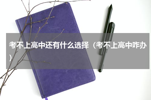 考不上高中还有什么选择（考不上高中咋办）