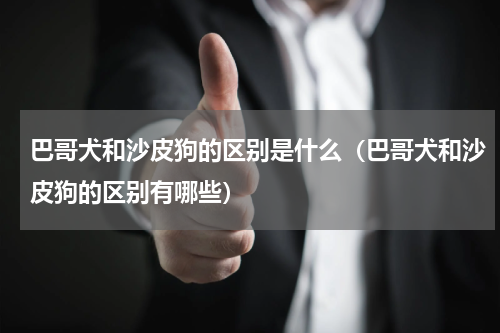 巴哥犬和沙皮狗的区别是什么（巴哥犬和沙皮狗的区别有哪些）