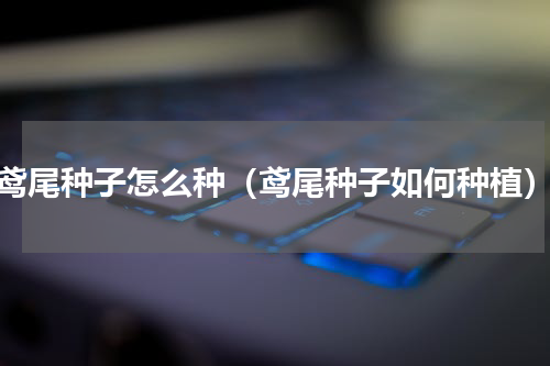 鸢尾种子怎么种（鸢尾种子如何种植）